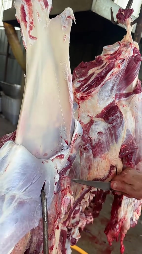 这骨头剔的狗都嫌弃吧