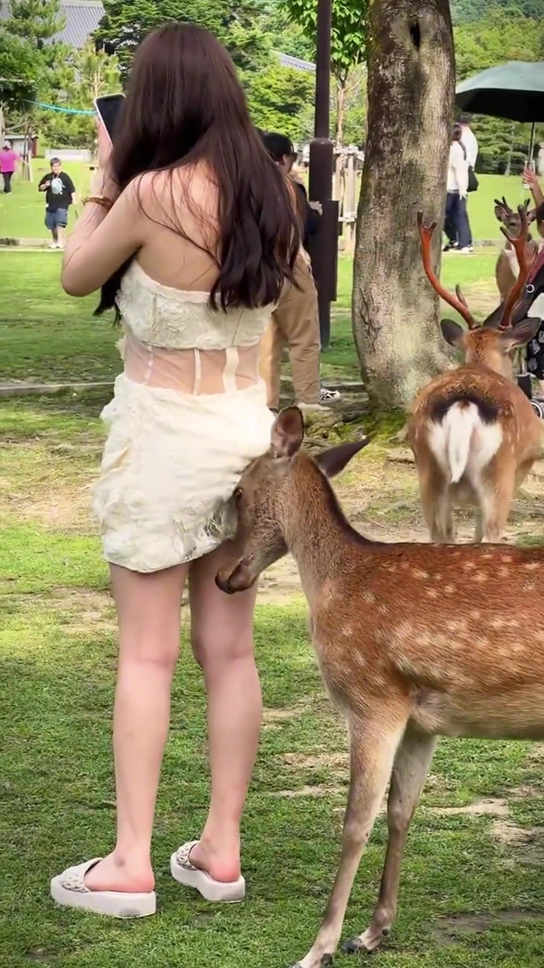 它为什么顶小姐姐的屁股啊