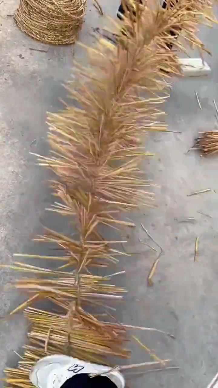 这是干啥，有懂的吗