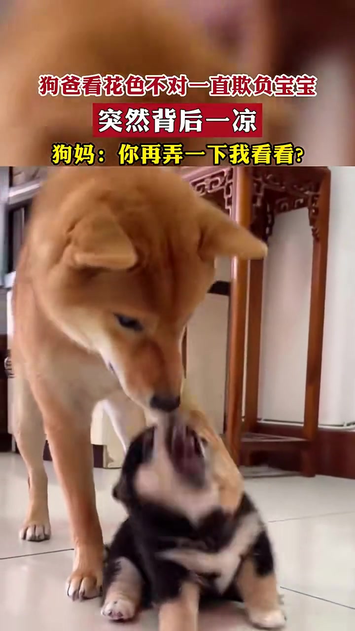 这个不是绿了芭蕉