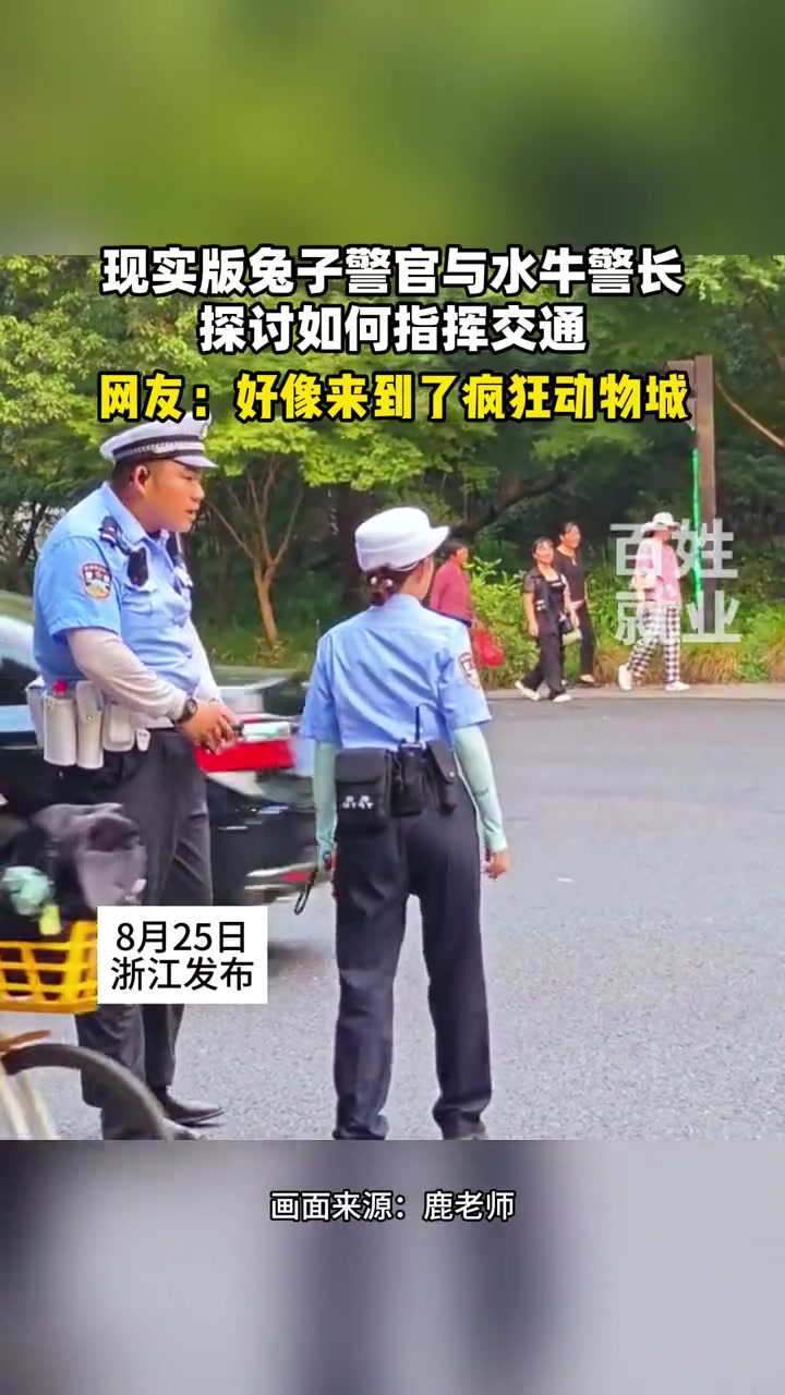 现实版兔子警官与水牛警长探讨如何指挥交通！