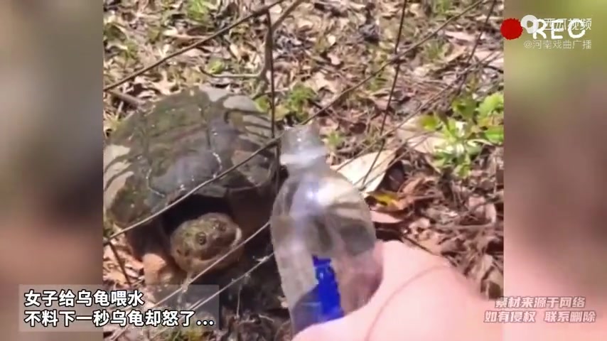 人家张嘴就恐吓你，你给人家灌水！
