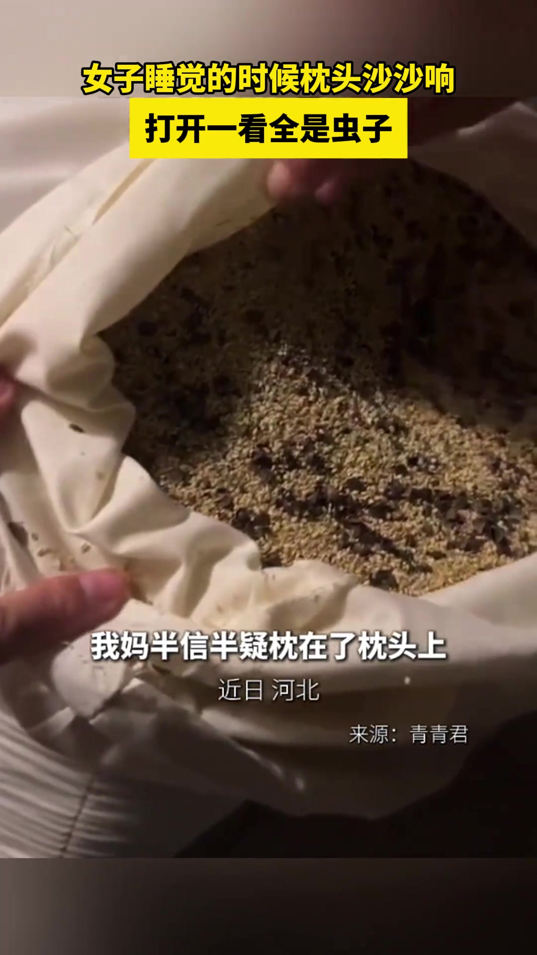 要拿去晒晒太阳呀！