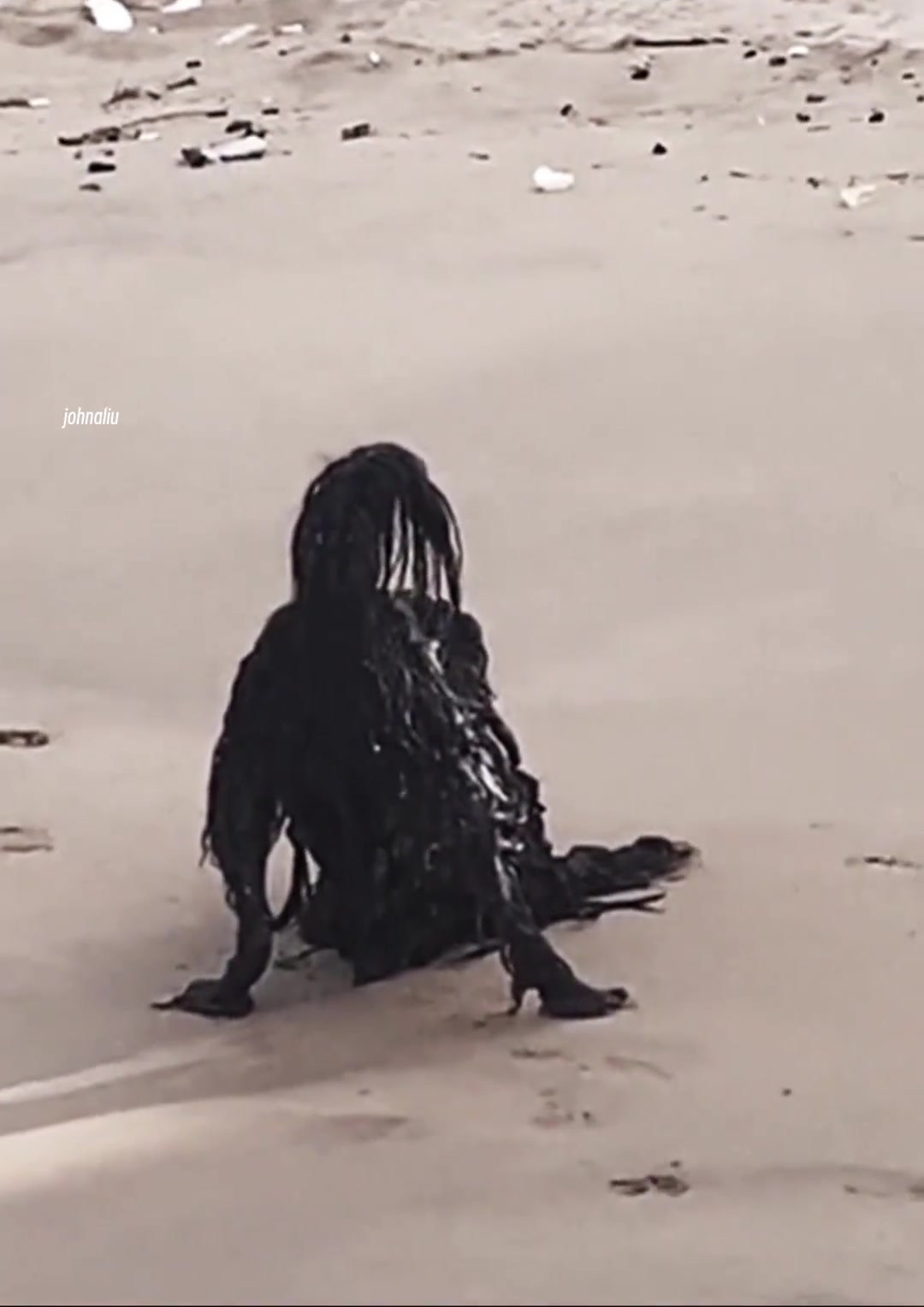 乍一眼看还以为是异型来了