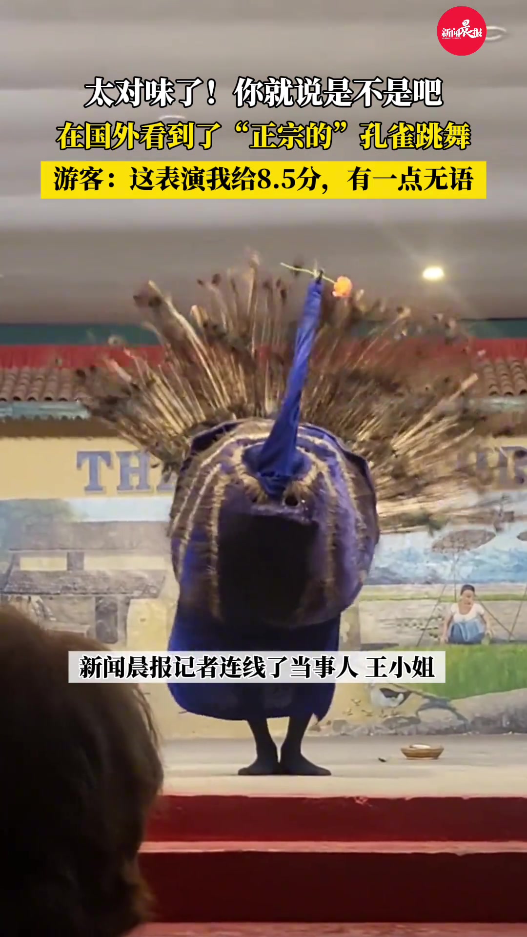 杨丽萍看了都沉默！这算诈骗吗游客国外旅游观看“孔雀舞”表演