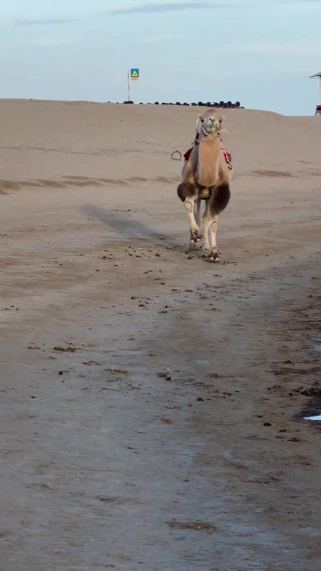 果然下班的快乐不分物种！