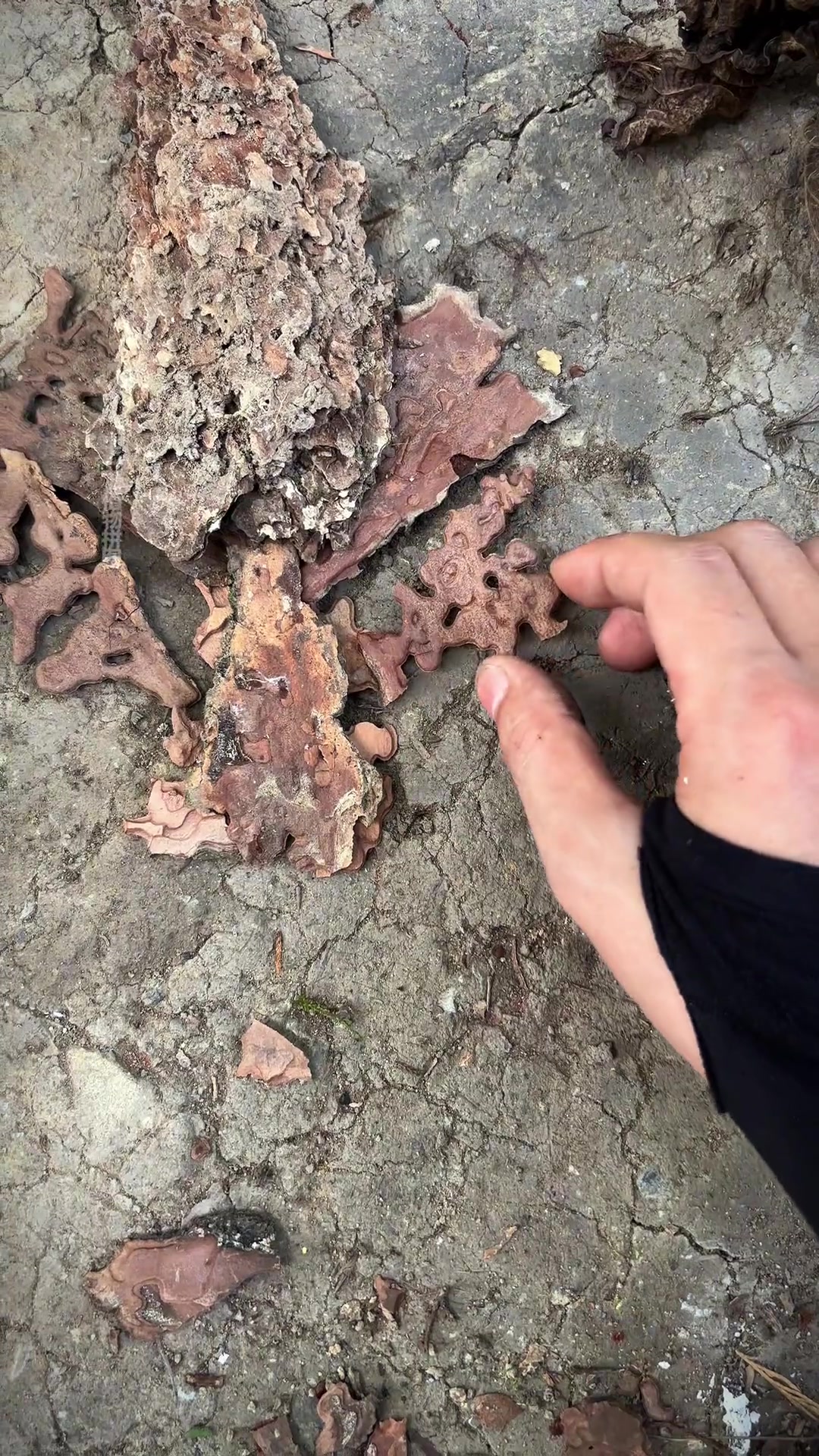 源于自然，归于自然！