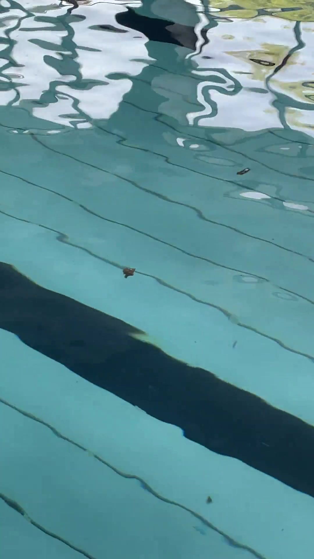 心态炸了！游泳后发现这般清晰可见的“不明物体”