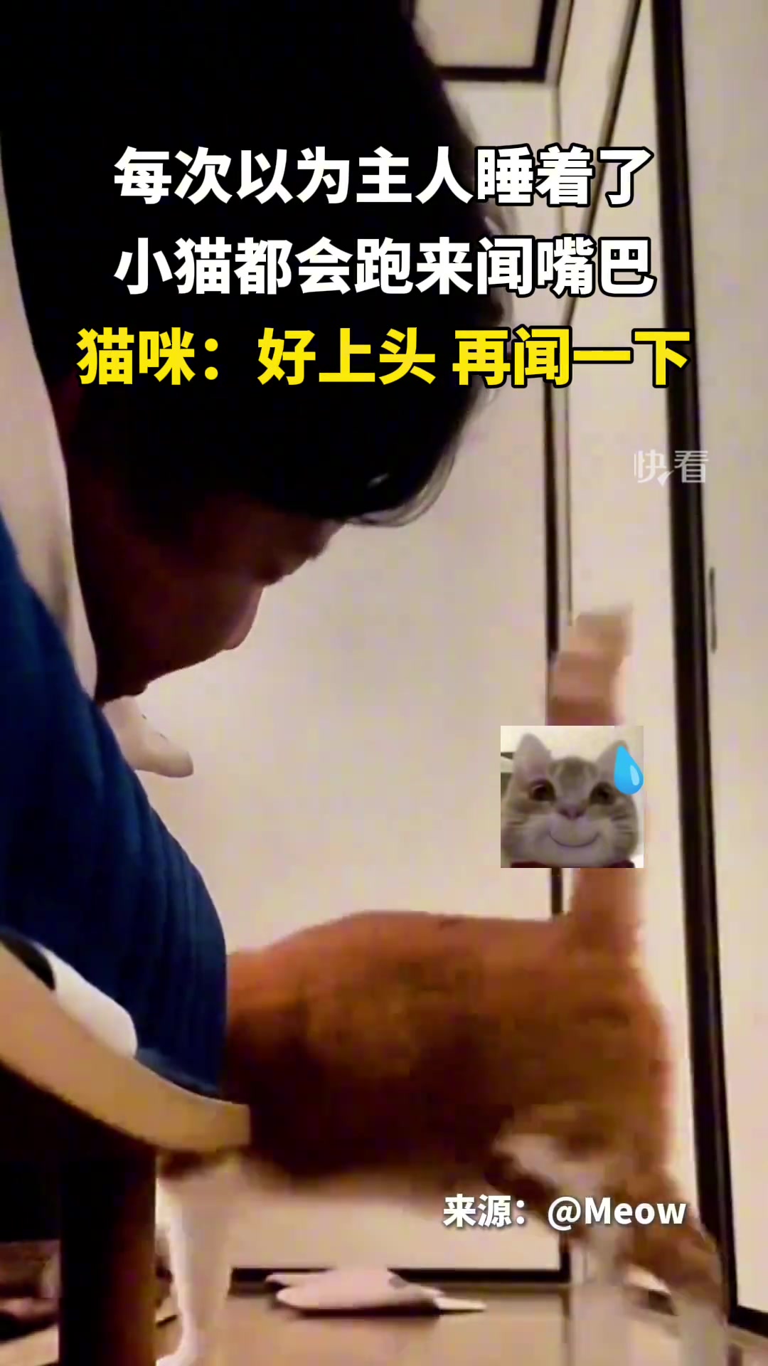 每次以为主人睡着了，小猫都会跑来闻嘴巴，这味道好上头