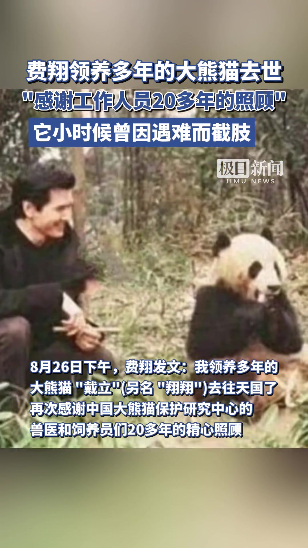 大熊猫还能认养吗费翔领养多年的大熊猫“戴立”去世！