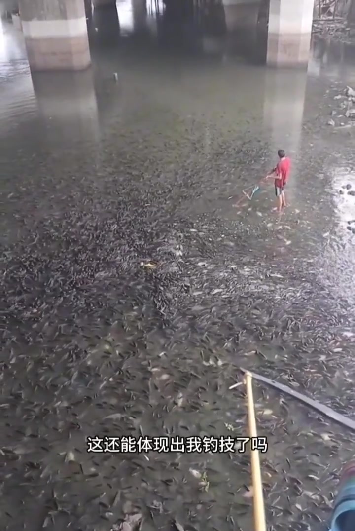 你这是鱼里面掺水了吧！！我这还带啥鱼竿啊