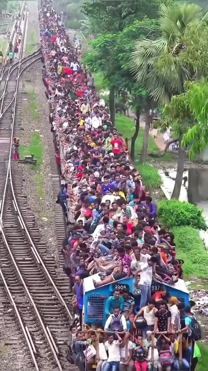 这人的密集程度给我整的密集恐惧症犯了