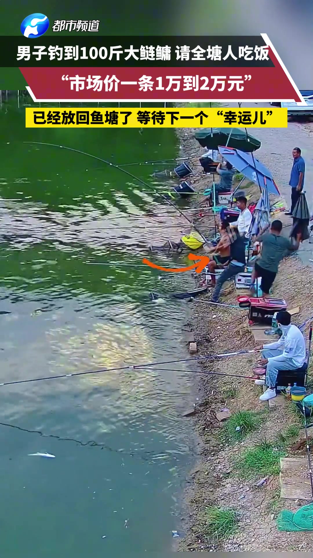 这鱼叫“百斤”男子钓到100斤大鲢鳙请全塘人吃饭