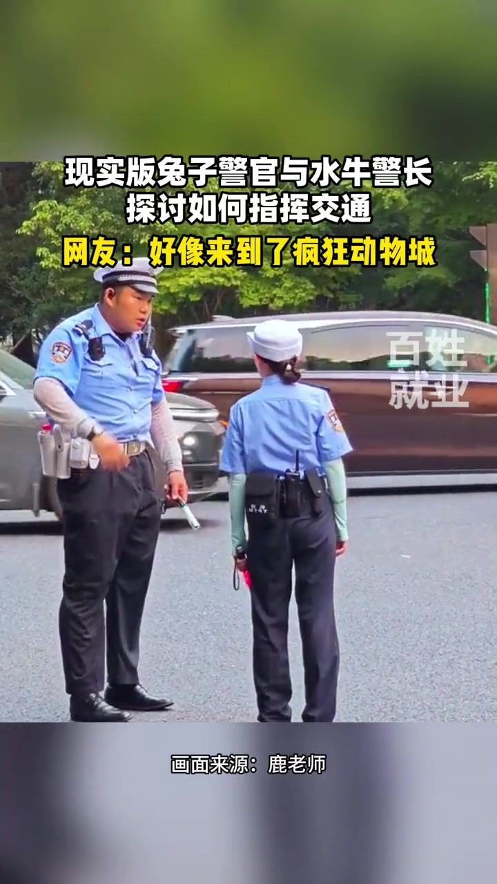 网友：现实版兔子警官与水牛警长探讨如何指挥交通！