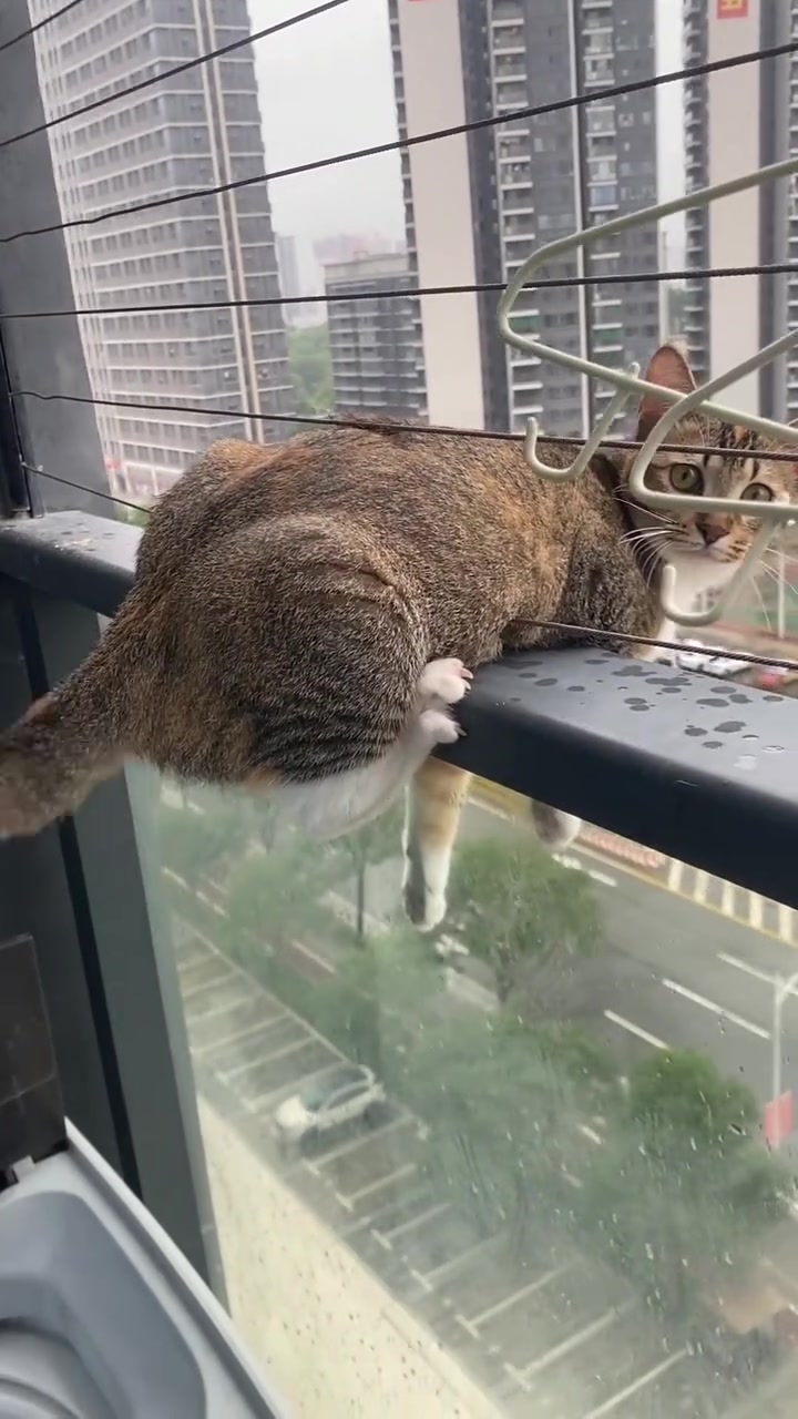 差点跳楼！这大屁股说实话我想拍一下！