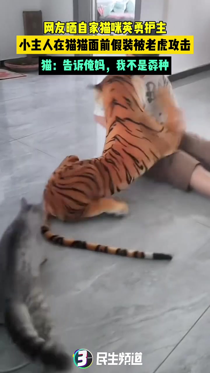 告诉俺妈，我不是孬种！