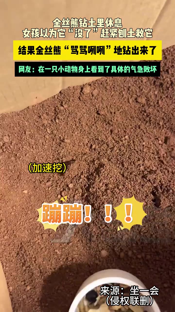 网友：在一只小动物身上看到了具体的气急败坏！！