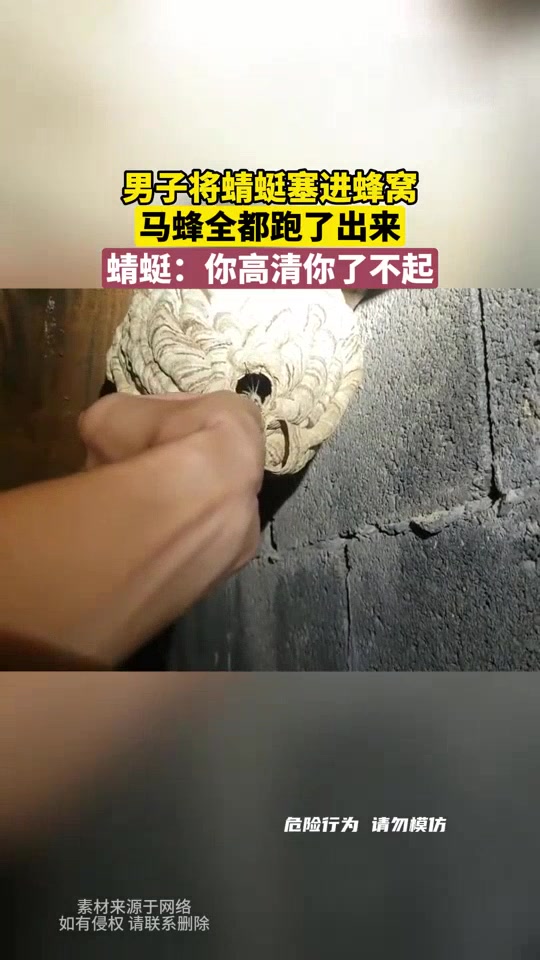 男子将蜻蜓塞进蜂窝，马蜂全都跑了出来！
