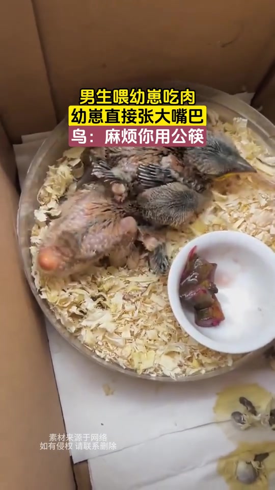 吃多少拉多少鸟：麻烦你用公筷！