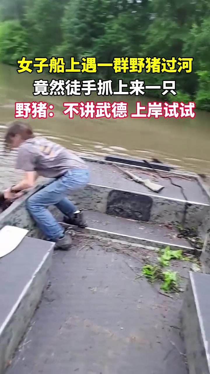 国外女子船上遇一群野猪过河，竟然徒手抓上来一只！