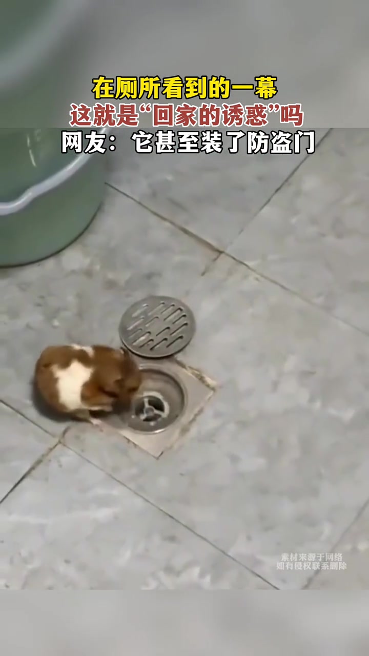 回家的诱惑甚至装了防盗门！