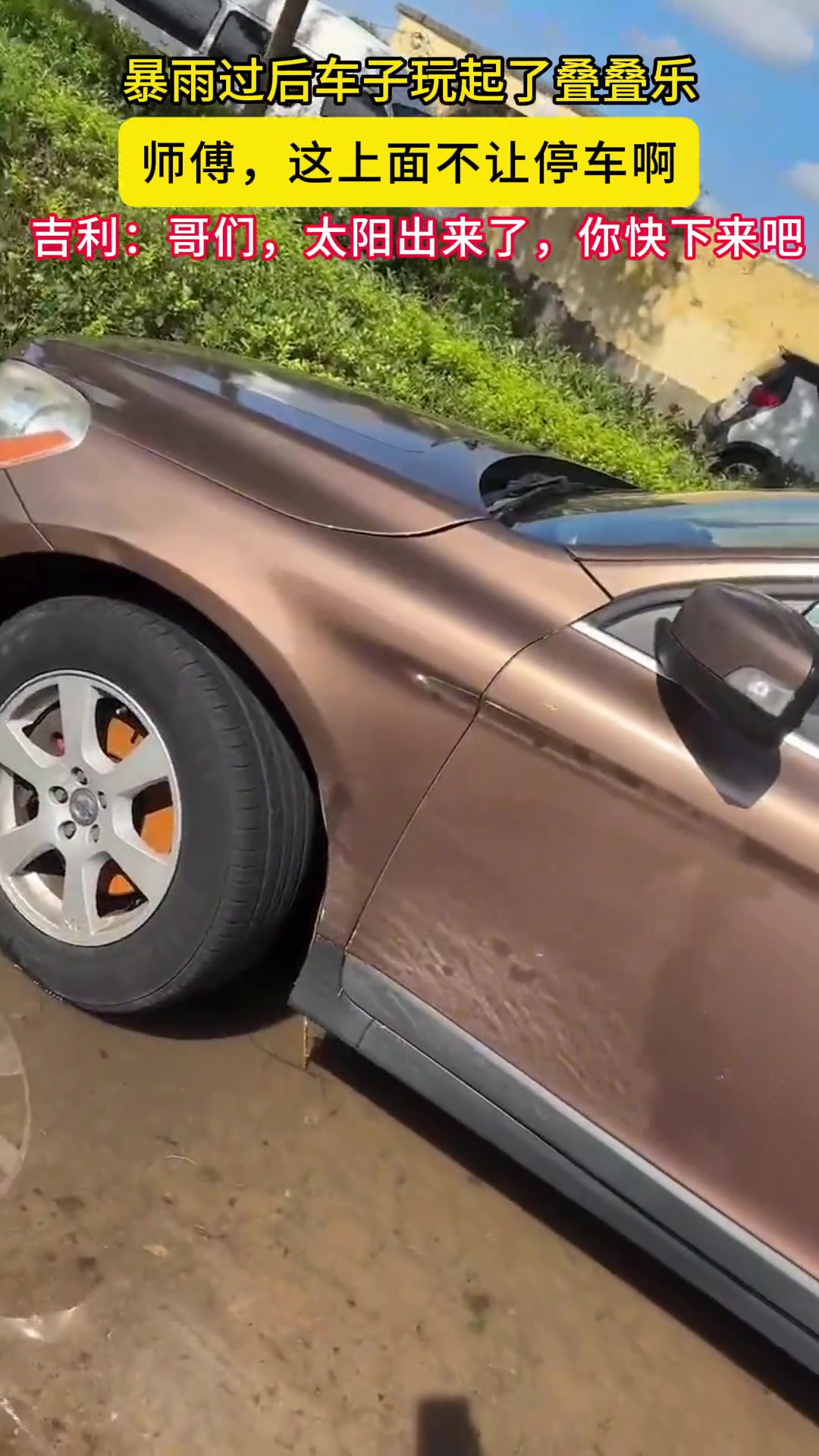 很好奇这是怎么开上去的呢