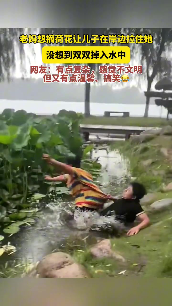 老妈想摘荷花让儿子在岸边拉住她，没想到双双掉入水中！