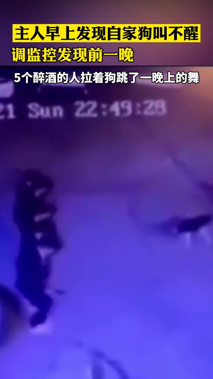 监控发现的一幕！河北5名醉汉拉着狗子跳了一晚上的舞
