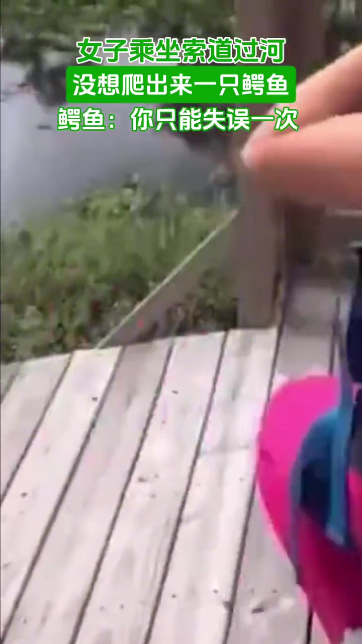 女子乘坐索道过河没想爬出来一只鳄鱼