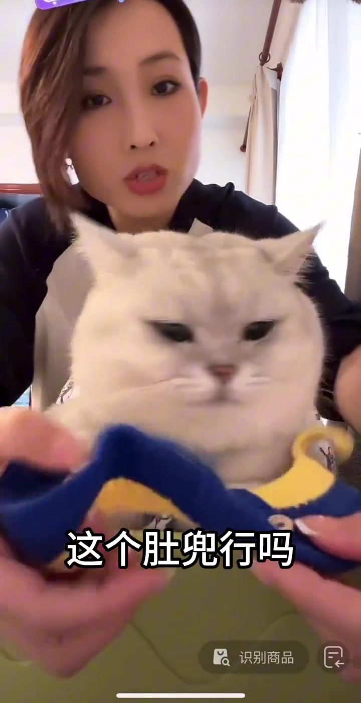 秦海璐和她的邪恶银渐层