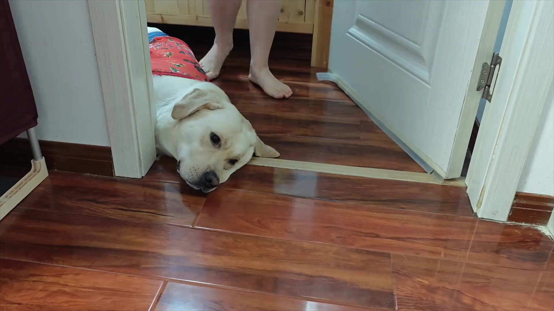 博主：我说咋关门这费劲呢