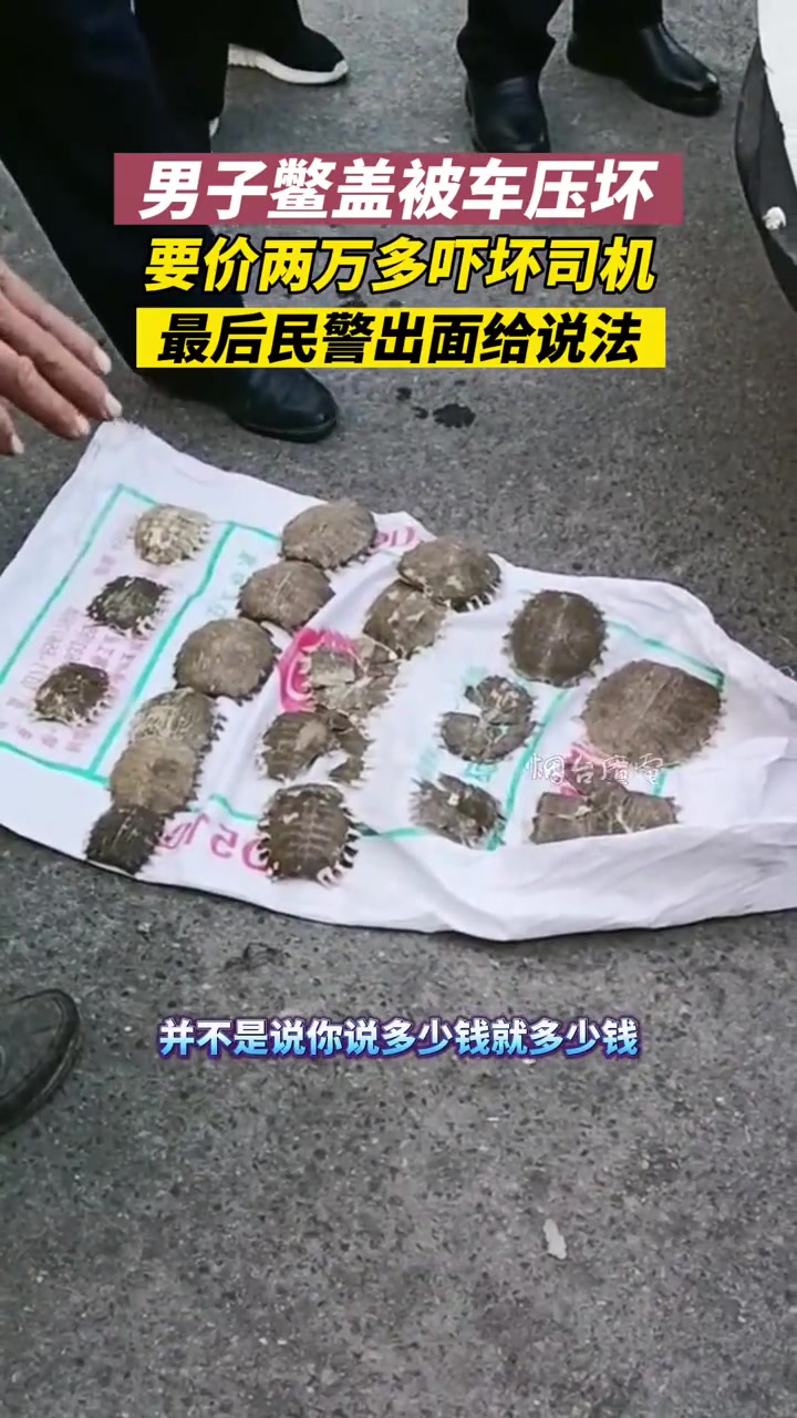 男子鳖盖被车压坏，要价两万多吓坏司机！