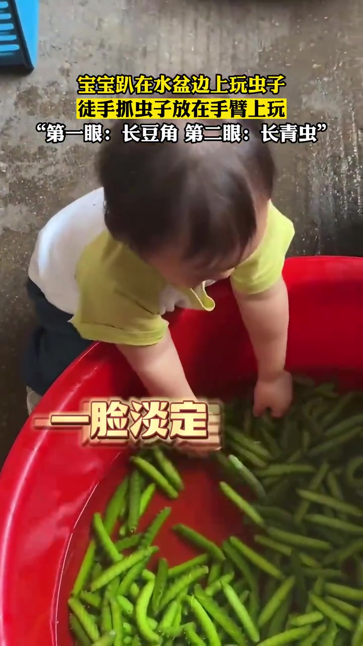 第一眼以为是青菜！仔细一看原来都是虫子！！