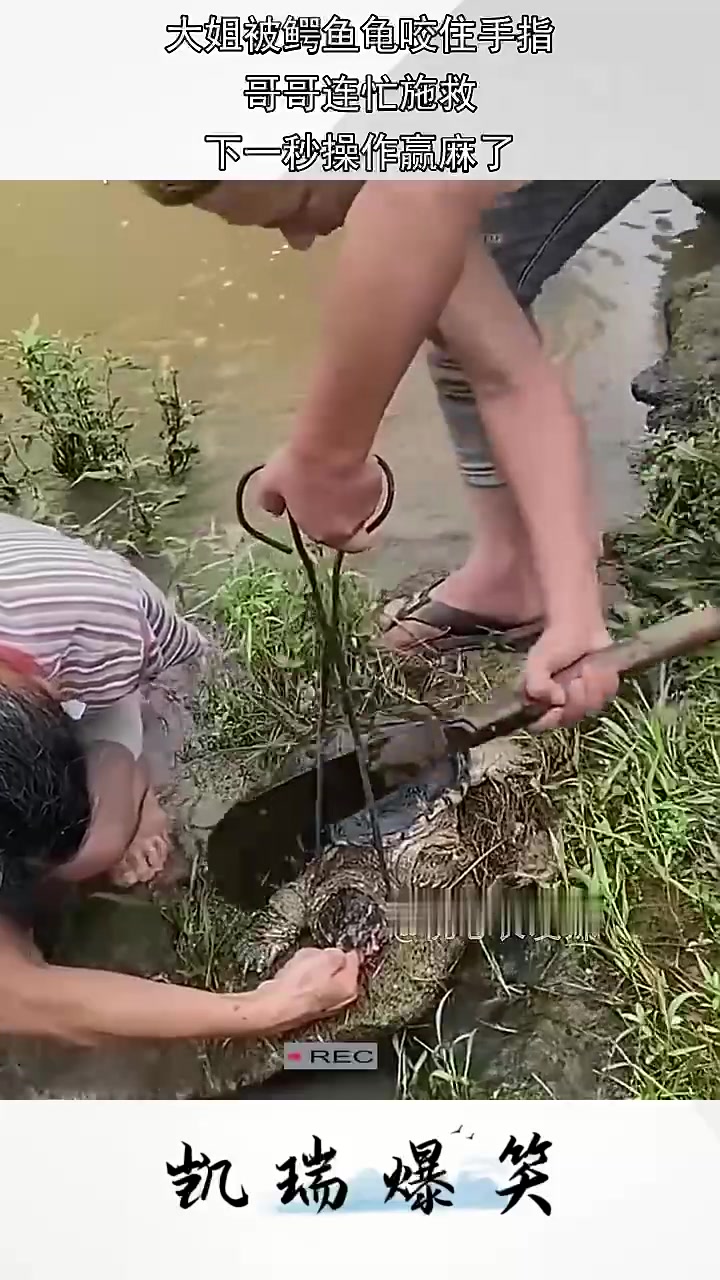 直接帮鳄龟的头给砍了啊！