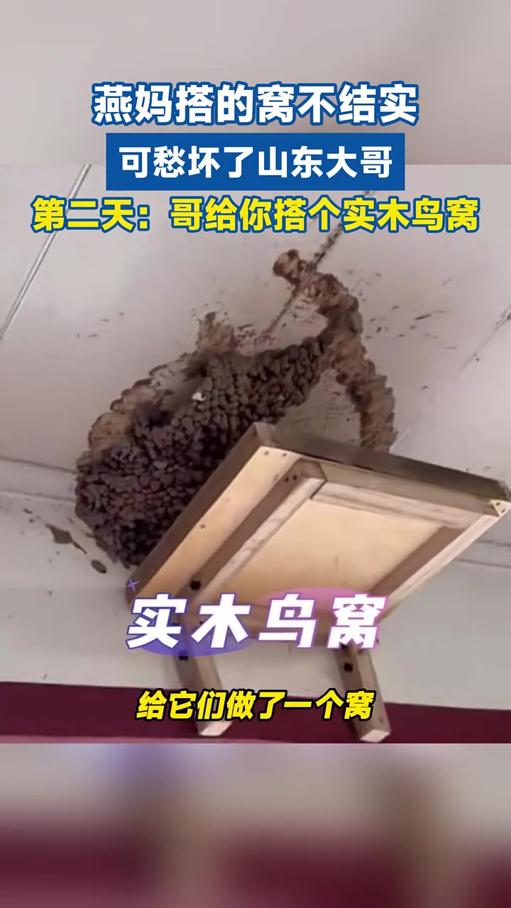 燕子家塌房了山东大哥：安排！这是有福报的人啊！