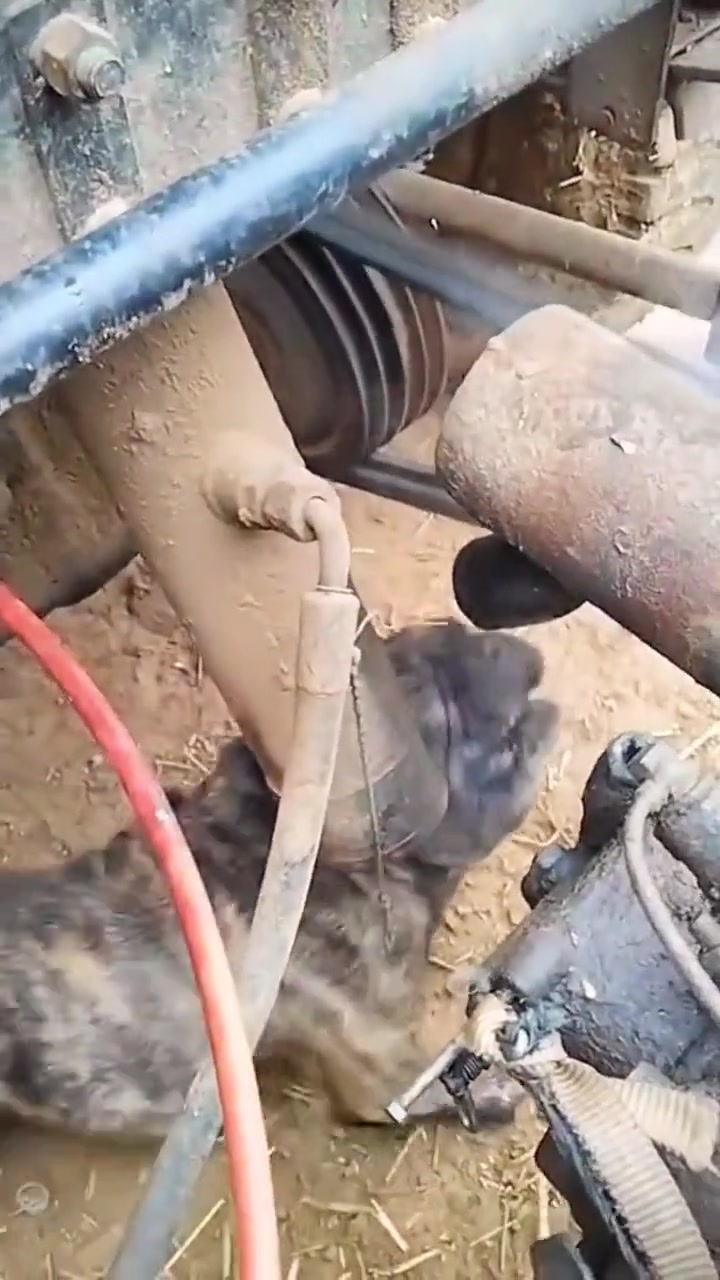 原来不止是我狗也喜欢闻