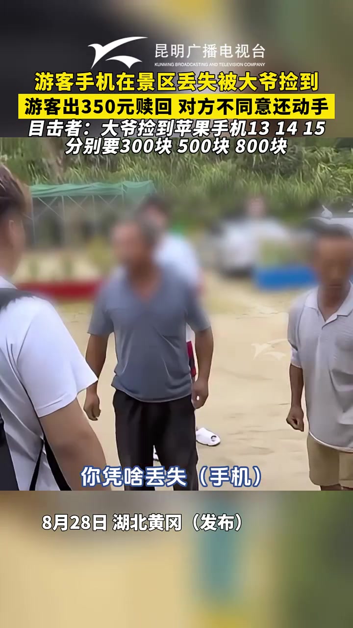 游客手机丢失被大爷捡到，游客出350元赎回，对方不同意还动手