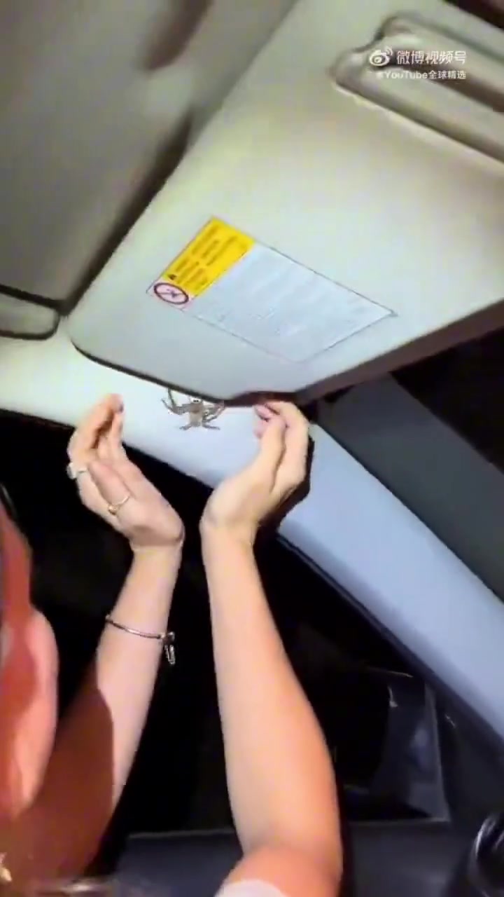 徒手抓那么大的蜘蛛啊小姐姐牛啊！