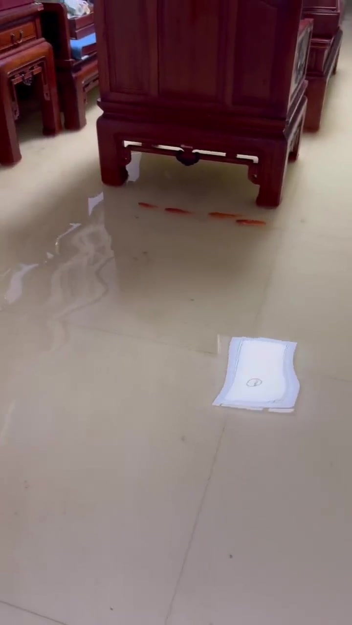 鱼这鱼缸不错，有客厅，有卧室，还有厨房