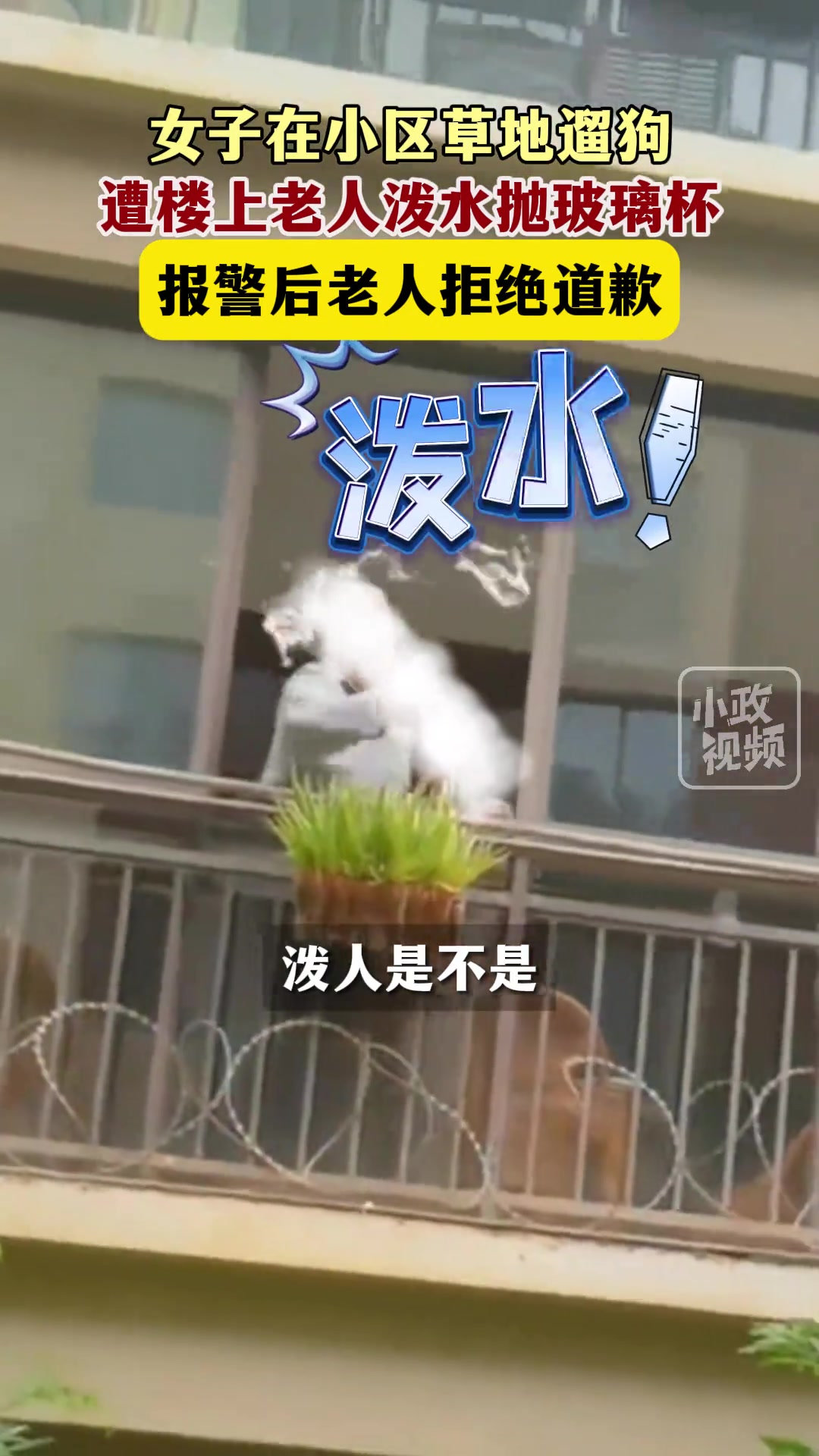 在小区草地遛狗，遭楼上老人往下泼水并高空抛玻璃杯！