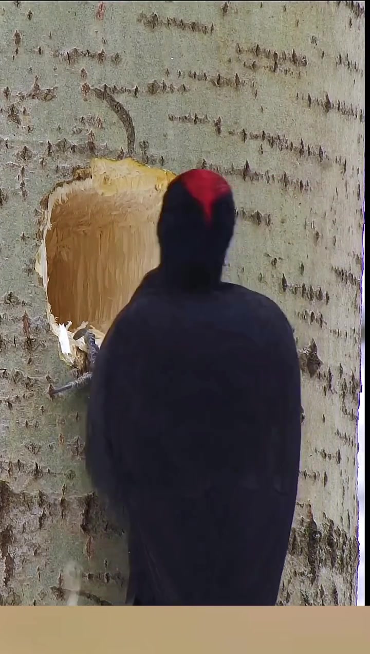庸医！别治了，给我个痛快吧！