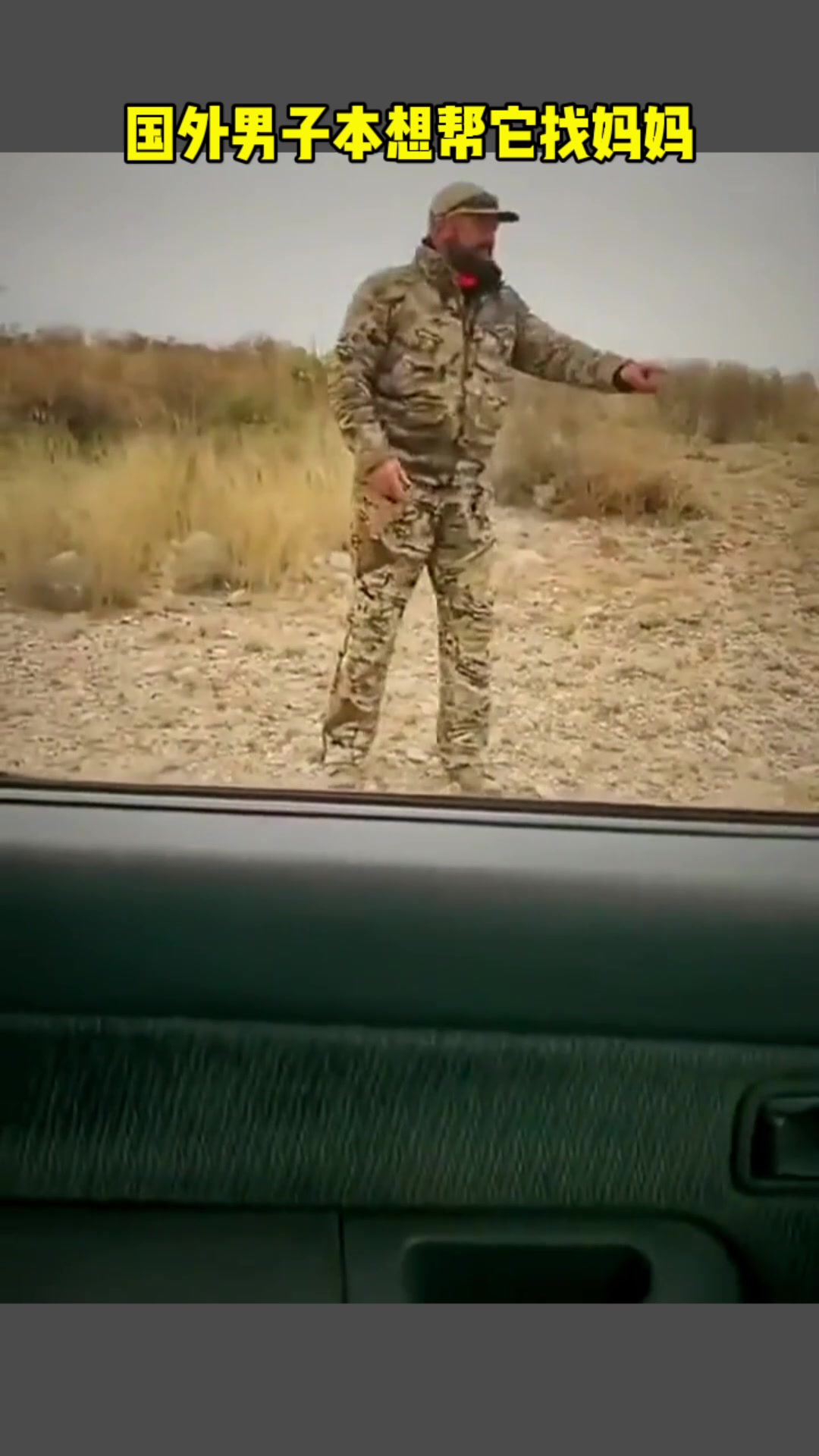 看我不拱死你！我顶！