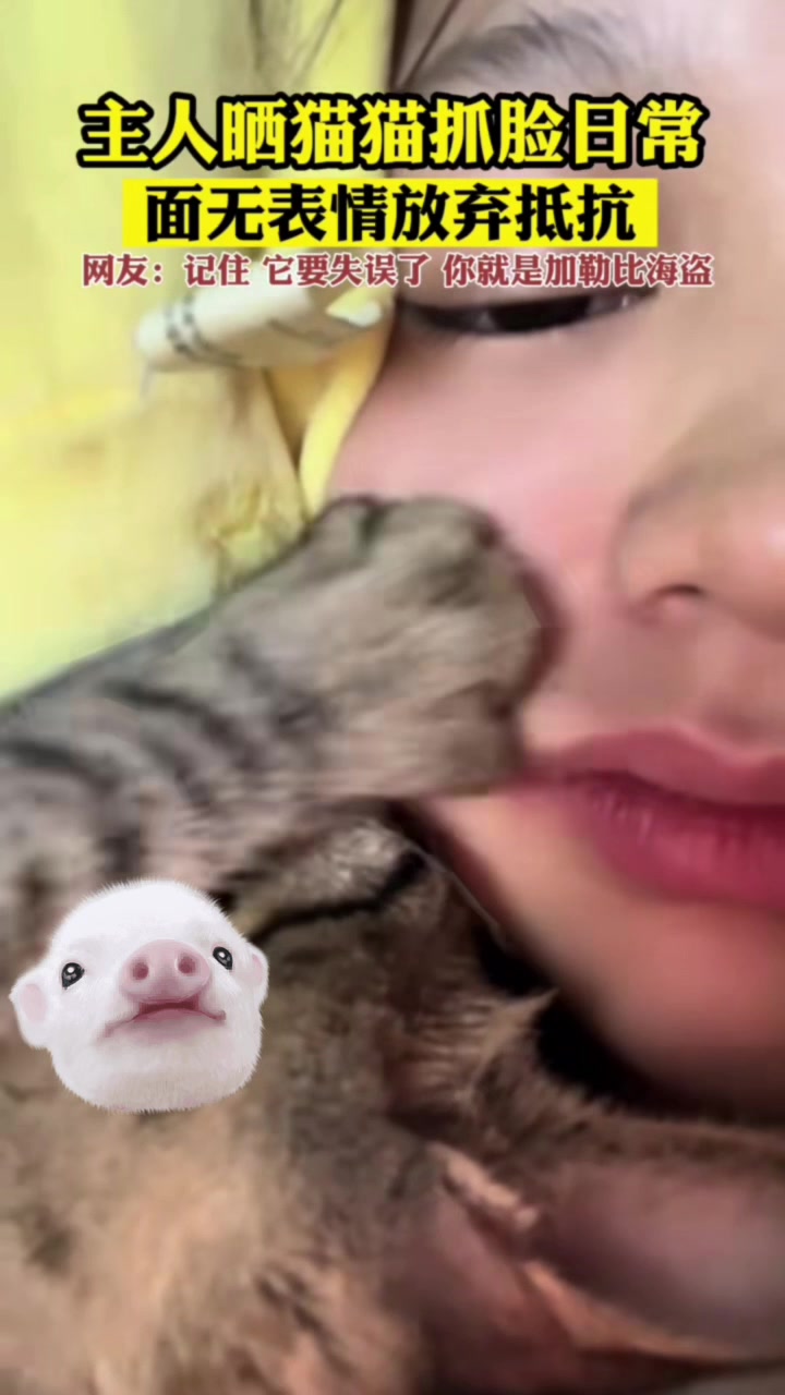 疯狂踩脸！为什么明明看见猫咪的爪子但是没有痕迹