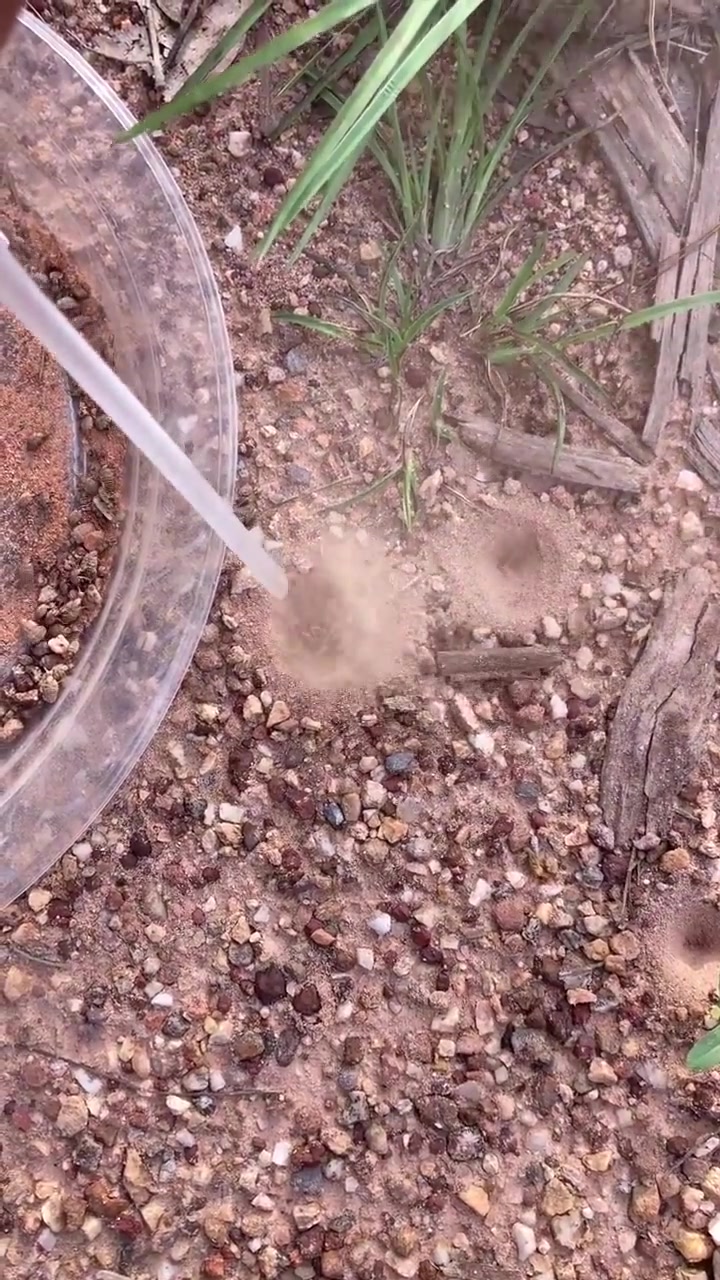 你们那里，这个东西叫什么