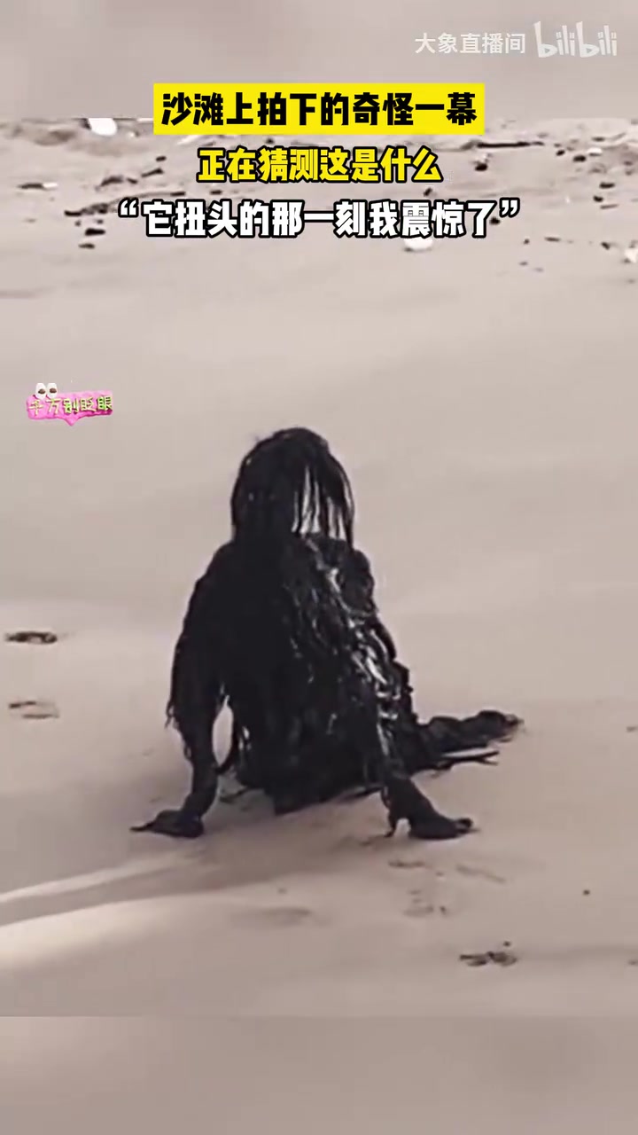 但凡回退50年，又是一起湖怪偶遇事件