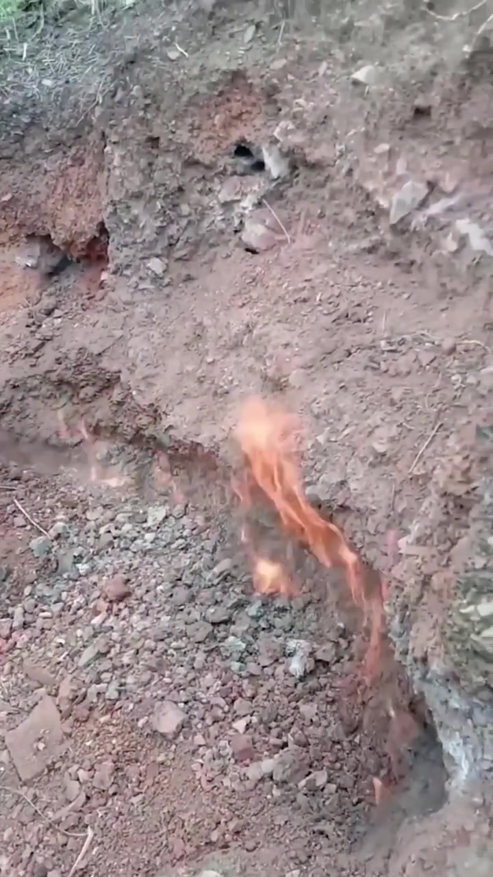 原理很简单的，这块地也有敏感神经