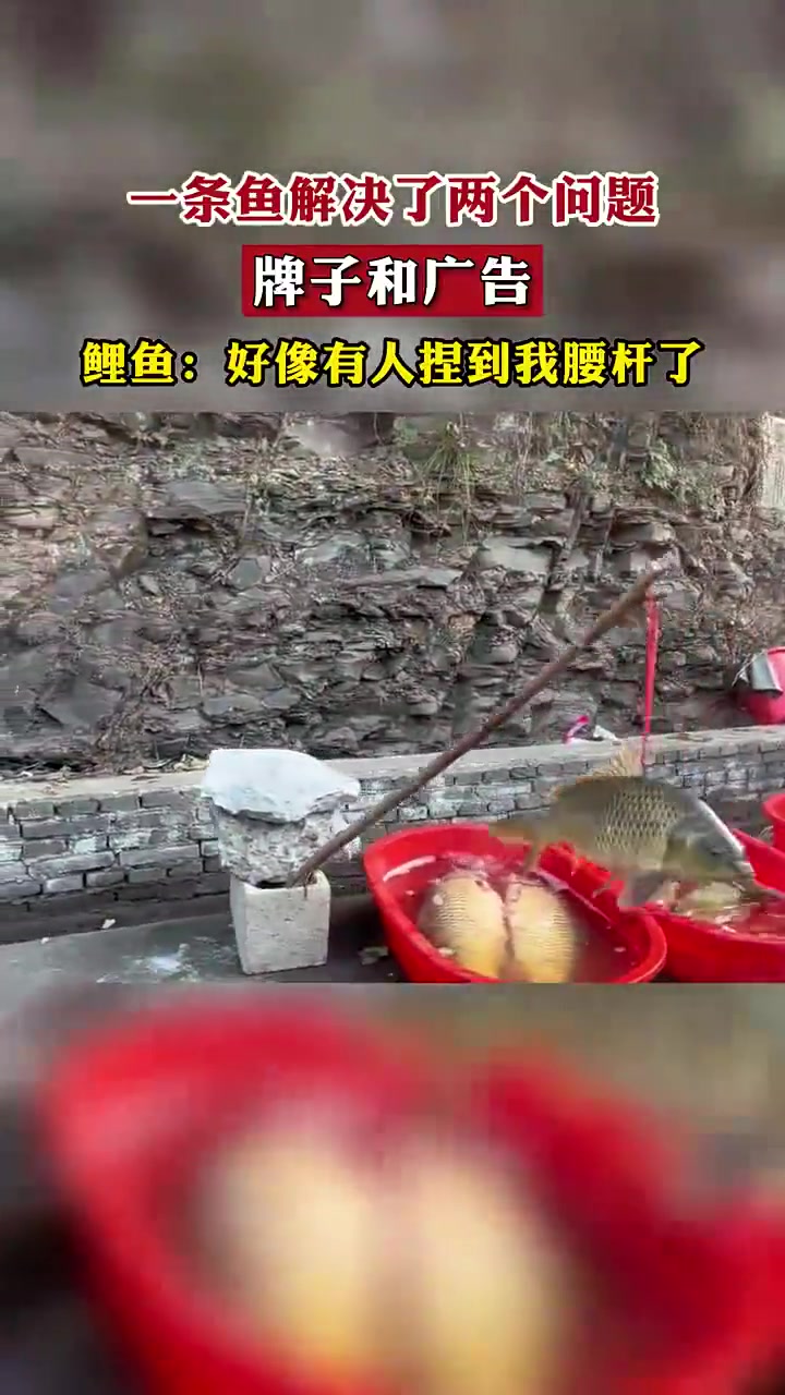 杀生别虐生不知你听过吗