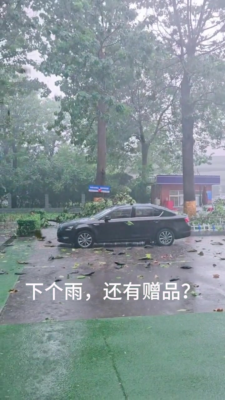 这可真是风鱼交加啊