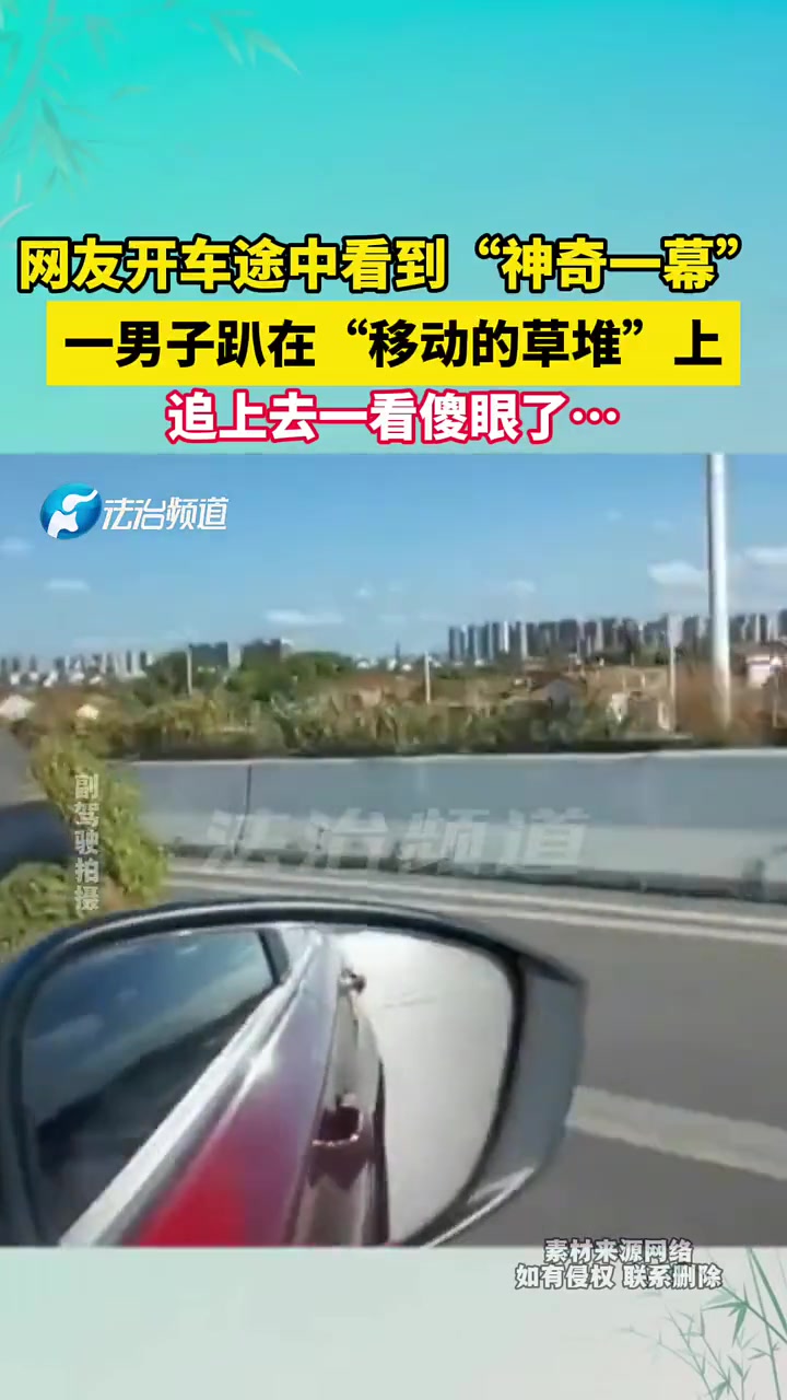 开车途中看到“神奇一幕”，一男子趴在“移动的草堆”上