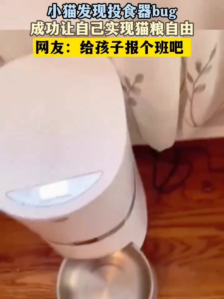 小猫发现投食器bug，成功让自己实现猫粮自由